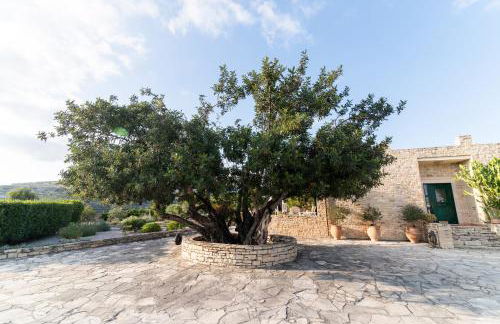 Carob Villa - Photo 71