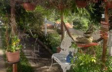 Casa de Campo em Teresópolis - Foto 25