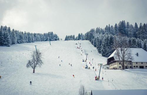 Ferienhaus Wendelhof - Foto 28