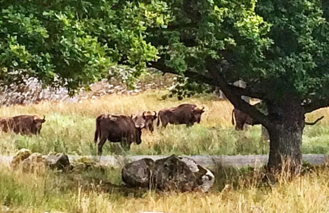 4 Person Holiday Home in Trensum-by Traum - Photo 16