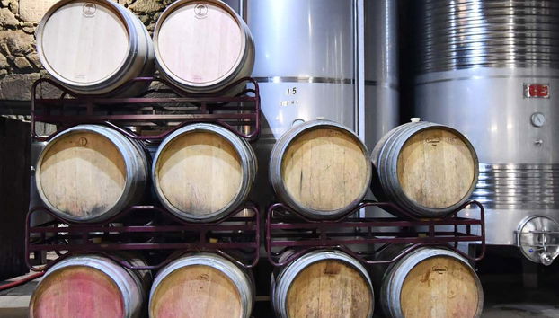 Casa Moreiras Winery Tour + Tasting - Foto 3