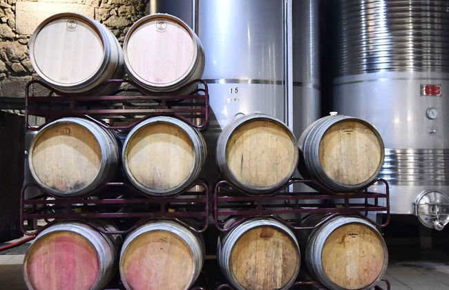 Casa Moreiras Winery Tour + Tasting - Photo 2