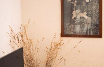 tHE Mountain View Lodge - Courmayeur - Foto 37