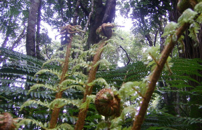 Catlins Newhaven Holiday Park - Foto 49