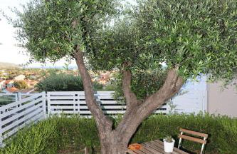 Tenuta Del Duca - Foto 13