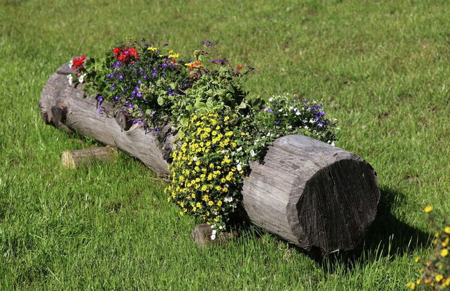 Typical Cottage in Bellamonte Italy with Hot Tub - Foto 23