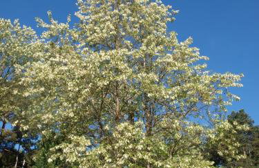 L'Hirondelle - La Cipière Gîtes - Foto 24