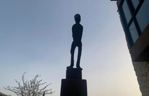 casa rural de un artista en plena naturaleza piscina y parque de esculturas en villarcayo - Photo 32