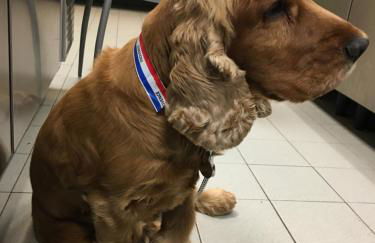 Très beau appartement au centre historique de Riez - Foto 15