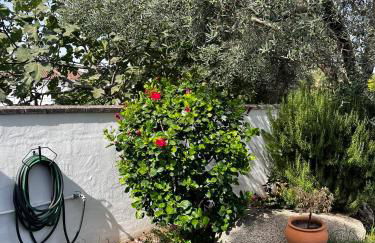 Casa el Pedroso - Villa Limones - Foto 2