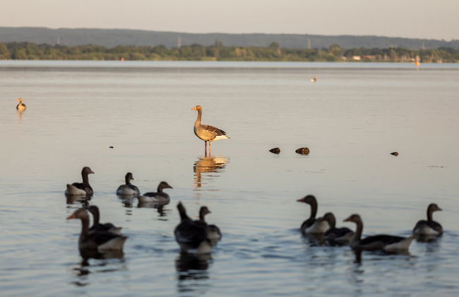 Marissa Resort - Foto 48