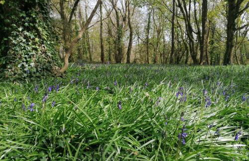 Driftwood Cottage - Foto 31