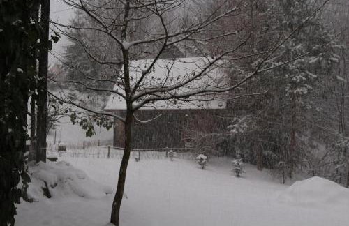 Ropuszy Dwór - Foto 39