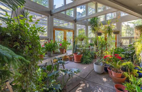 Birders, botanist and hikers’ oasis in FLG - Foto 20