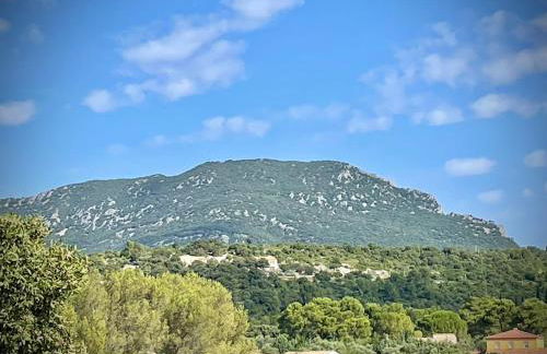 Chalet with a view of Pic Saint Loup, large garden - Foto 4