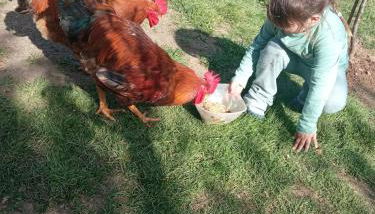 Flor de Pomar - Foto 4