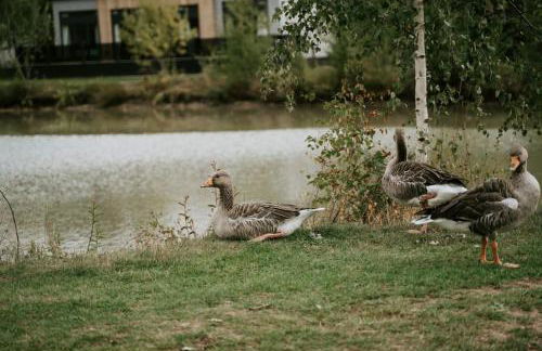 Casa Di Lusso Luxury lodge - Foto 28