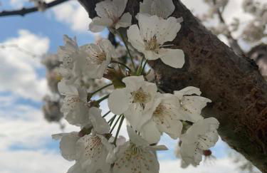 La finestra sul Farfa - Foto 32