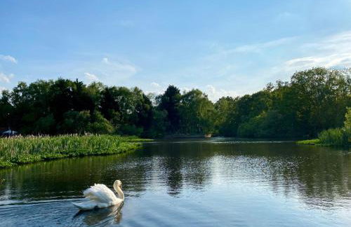 Lake View Lincoln - Foto 1