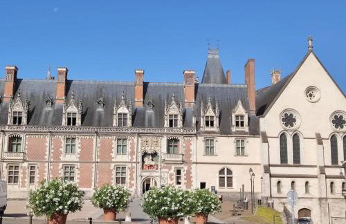 Gîte Les Deux Ailes - Foto 22