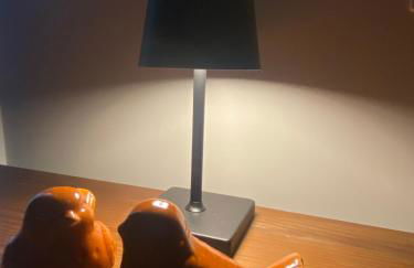 Loft Retrô 350m Vila Germânica - Photo 26