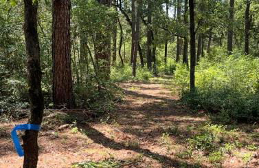 Cozy Cabin Escape - Foto 40