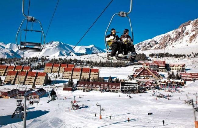 Cirrus Apart - Photo 37