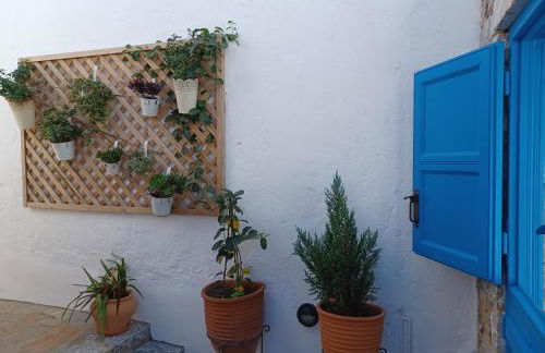 Vicky's Studios - Foto 60