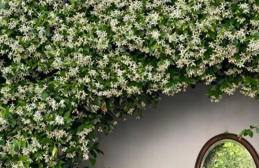 Antica Corte Milanese - Foto 31