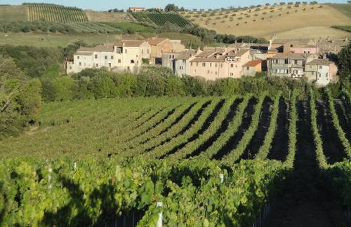 Agriturismo La Valle Di Ceri - Foto 10