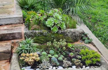 Casa da Nogueira - Foto 53