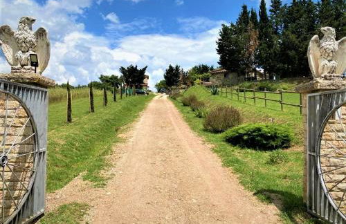 Podere La Selva - Foto 11