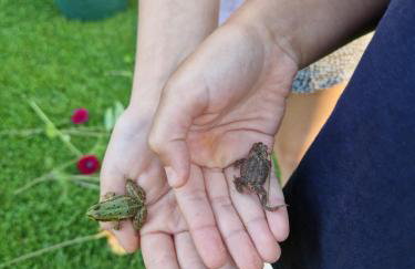 Łap Las Pelnik - Photo 30