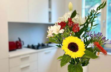 Zen Garden House - Photo 13