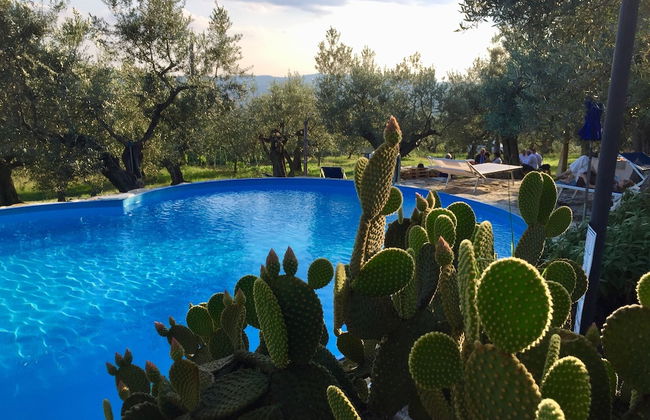 Agriturismo Poggio alla Pieve - Photo 34