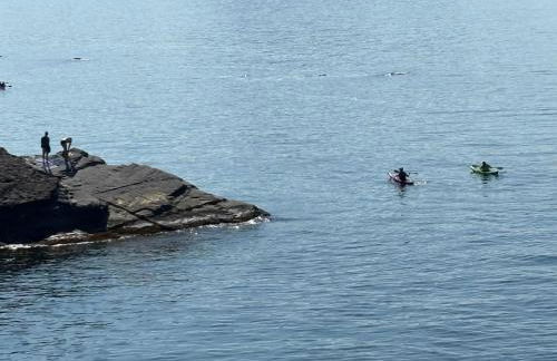 Una finestra sul mare 1 - A window on the sea 1 - Nervi - Genoa - Foto 74