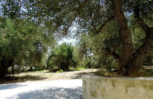 Lyrids Apartments - Photo 84