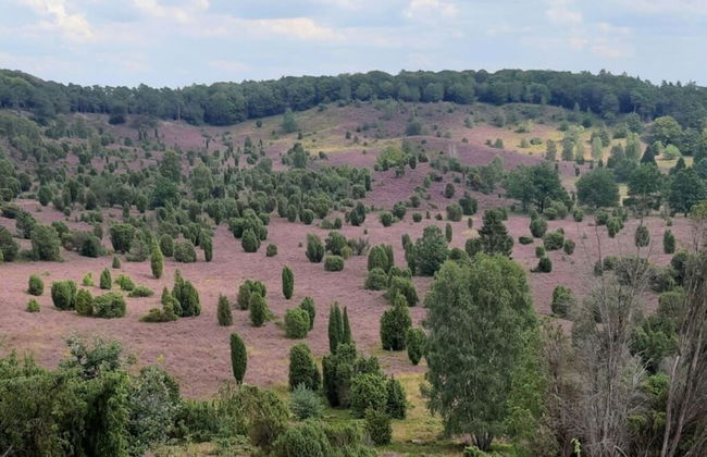 Ahlers Holiday Apartment - Foto 21