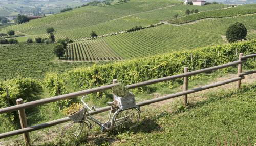 Agriturismo Albarossa - Foto 2