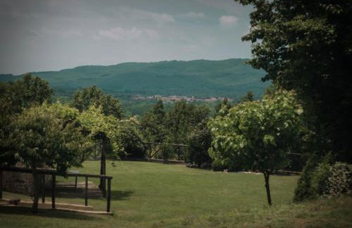 Μαγεμένο Δάσος Apartments - Photo 11