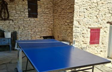 Cabanon provençal en pierre entouré de lavandes - Foto 8