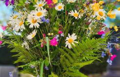 Gîte et SPA Chez Jules - Foto 31