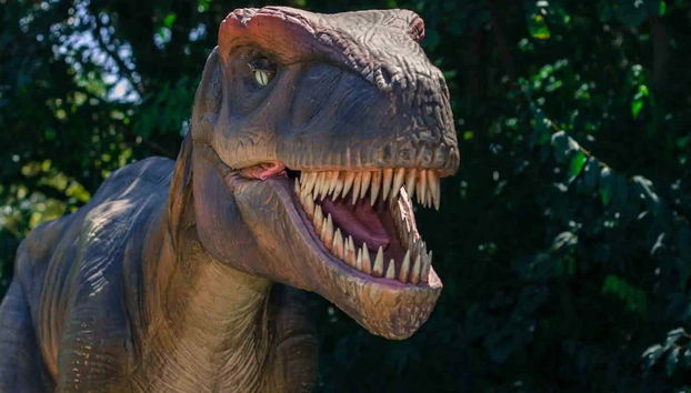 Hams Caves & Dinosaurland Trip - Foto 5