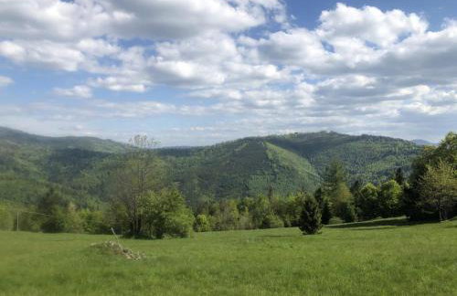 Stodoła 55 - Foto 63