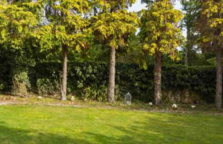 Piglet Cottage - Foto 17