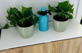 Precioso Apartamento Centro Jerez - Foto 12