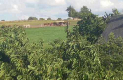 Apartment Ferienwohznung Huhle by Interhome - Foto 24