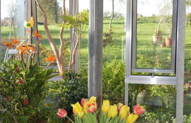 Glashaus Andres Fünf-Sterne-Ferienhaus - Foto 15