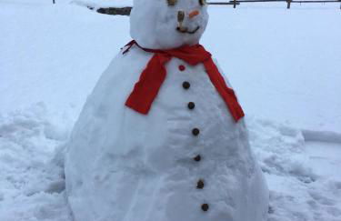 Alpine Chalet - Foto 11