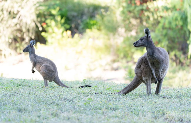 Noble River Estate - Photo 58